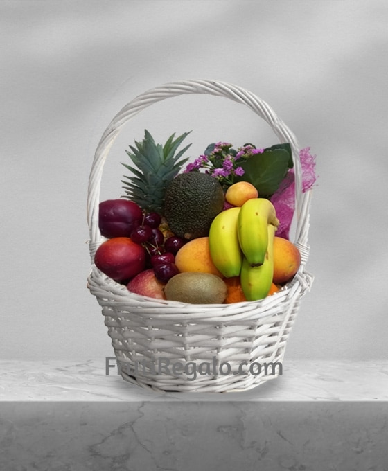 Regalar cestas de frutas y plantas